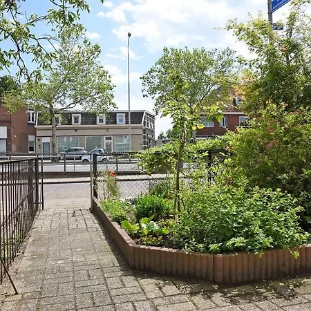 Groepswoning Domus Nimma, Also Work Friendly * Nimwegen